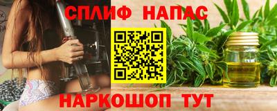 дживик Ачхой-Мартан